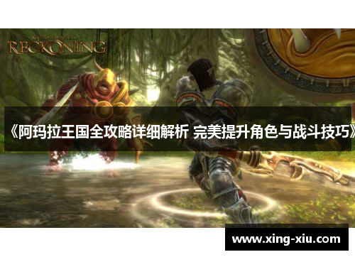 《阿玛拉王国全攻略详细解析 完美提升角色与战斗技巧》